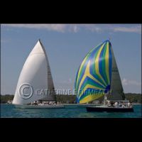 CEF8224 srgb copyrt.jpg